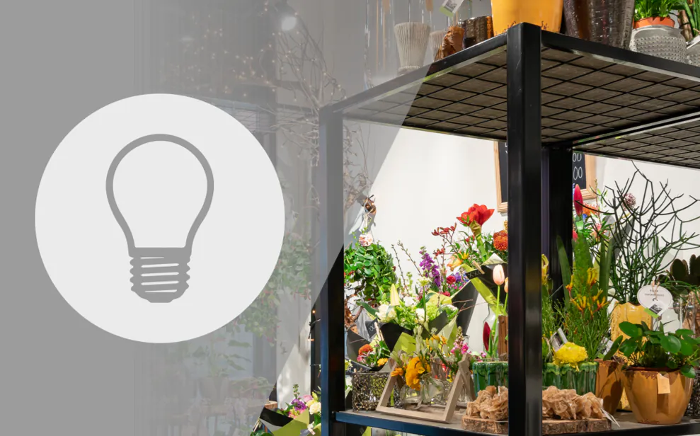 colour temperature of light